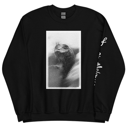 Black Sweatshirt with Extraterrestrial Parody Makeover: An LGBTQ+ Artwork by Donny Meloche.