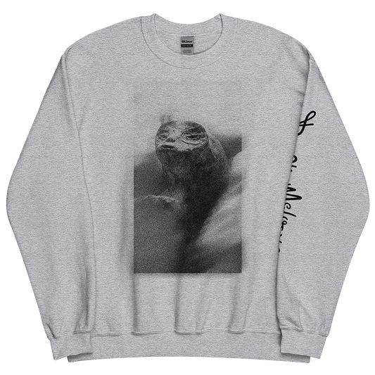 Gray Sweatshirt with Extraterrestrial Parody Makeover: An LGBTQ+ Artwork by Donny Meloche.