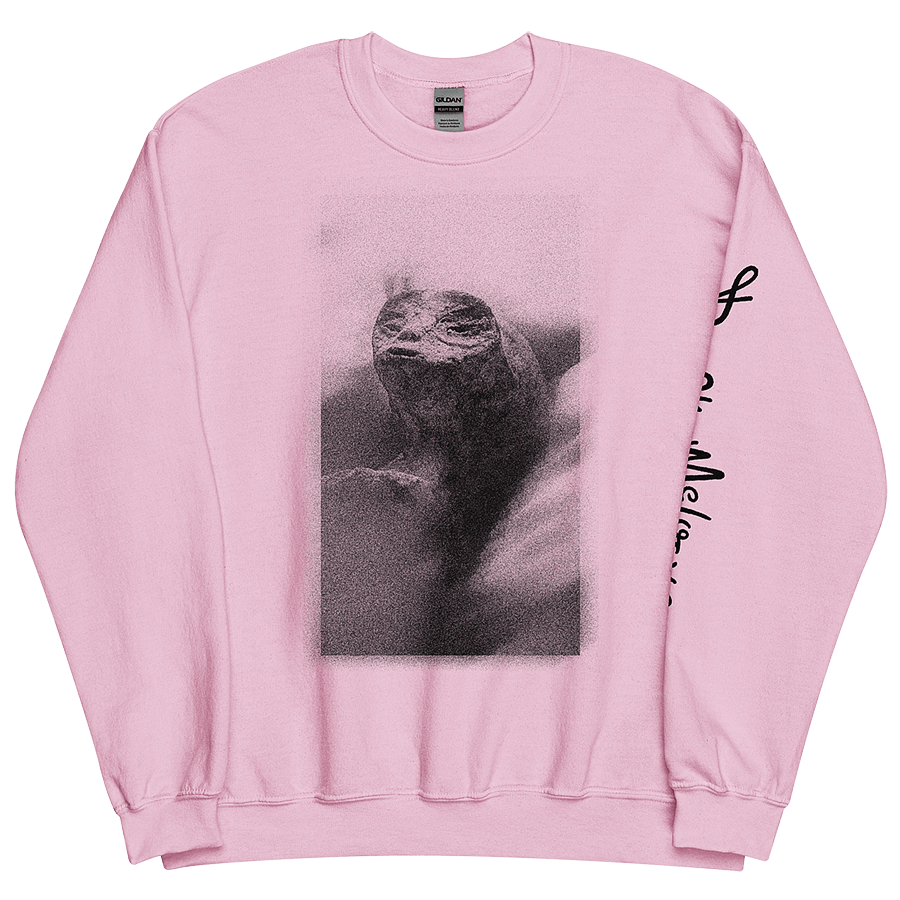 Pink Sweatshirt with Extraterrestrial Parody Makeover: An LGBTQ+ Artwork by Donny Meloche.